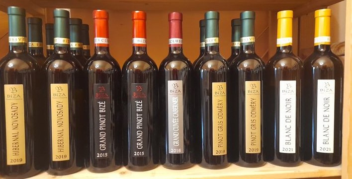 velká vína z velkých sudů vinařství Bíza Vinotéka ve dvoře